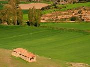 Villa en Caceres