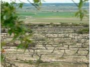 Villa en proyecto independiente con 6 dormitorios en...