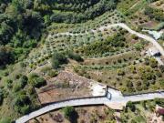 Villa en venta en Alhaurín el Grande Málaga