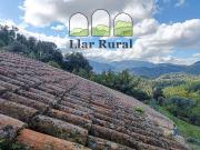 Casa en venta en calle De la Plaça de Joanet, Arbúcies,...