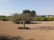 Villa en Venta en Daya Nueva, Alicante
