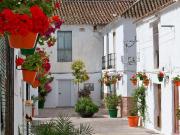 Villa en venta en Estepona Málaga