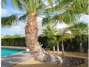 villa en Venta en Rojales. ETRV T1961