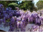 Villa encantadora en Urbanización El Lagar