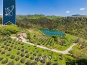 Villa Gaiole in Chianti Siena DS96317342