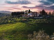 Villa I Cipressi in Chianti con vigneti, Firenze Toscana...