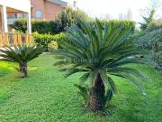 Villa in affitto a Anzio RM