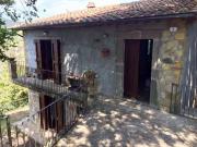 Villa in affitto a Capalbio GR