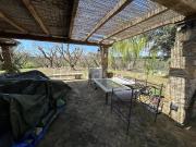 Villa in affitto a Capalbio strada del 33, giardino...