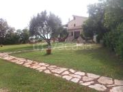 Villa in affitto a Capalbio strada Poggio Pelato,...
