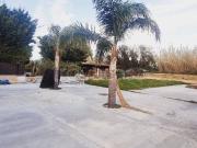 Villa in affitto a Carini, non arredato/vuoto, cucina...