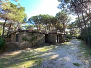 Villa in affitto a Castiglione della Pescaia GR