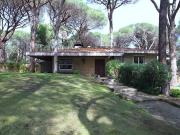 Villa in affitto a Castiglione della Pescaia GR