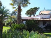 Villa in affitto a Castiglione della Pescaia GR