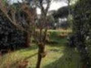 Villa in affitto a Cervia