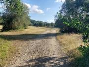Villa in affitto a Firenze