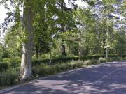 Villa in affitto a Firenze FI