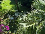 Villa in affitto a Fiumicino viale Sestri Ponente, 104,...