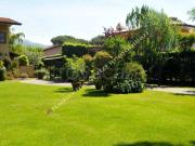 Villa in affitto a Forte dei Marmi via Dalmazia,...