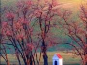 Villa in affitto a Giugliano in Campania NA