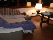 Villa in affitto a Lucca LU Villa in affitto a Lucca LU