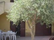 Villa in affitto a Marsala