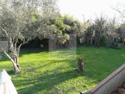 Villa in affitto a Massa MS