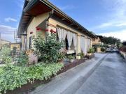 Villa in affitto a Massa MS