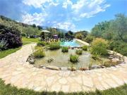 Villa in affitto a Massa via del Melaro, arredato,...