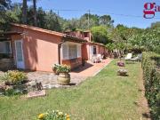 Villa in affitto a Monte Argentario GR