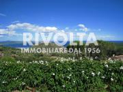 Villa in affitto a Monte Argentario strada Mandrioli,...