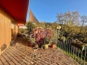 Villa in affitto a Negrar di Valpolicella, giardino...