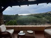 Villa in affitto a Olbia SS