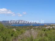 Villa in affitto a Olbia SS