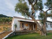 Villa in affitto a Pietrasanta