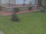 Villa in affitto a Pisa PI