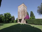 Villa in affitto a Roma RM