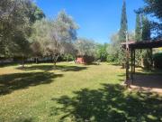 Villa in affitto a Roma RM