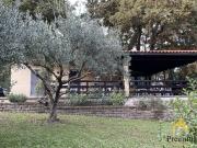 Villa in affitto a Roma RM
