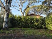 Villa in affitto a Roma RM