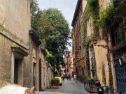 Villa in affitto a Roma RM