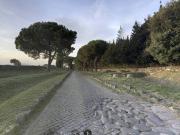 Villa in affitto a Roma RM