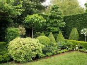 Villa in affitto a San Giuliano Milanese MI