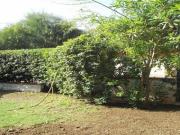 Villa in affitto a Siracusa