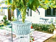 Villa in affitto a Siracusa SR