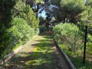 Villa in affitto a Siracusa SR