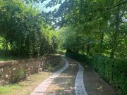 Villa in affitto a Torino TO