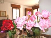 Villa in affitto a Treviso, arredato, giardino privato,...