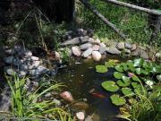 Villa in affitto a Villa Collemandina localitÃ casetta,...