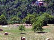 Villa in affitto a Villa Collemandina localitÃ casetta,...